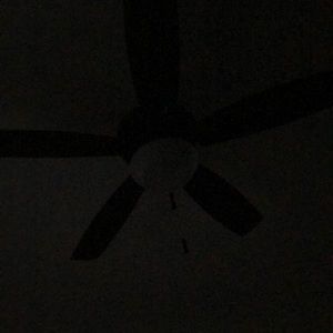 Meet your Posher, Vikki